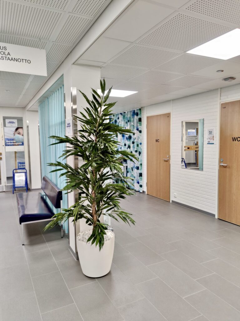 terveydenhuollon tilan yksityisyys suunnittelussa terveydenhuollon tilan yksityisyys suunnittelussa