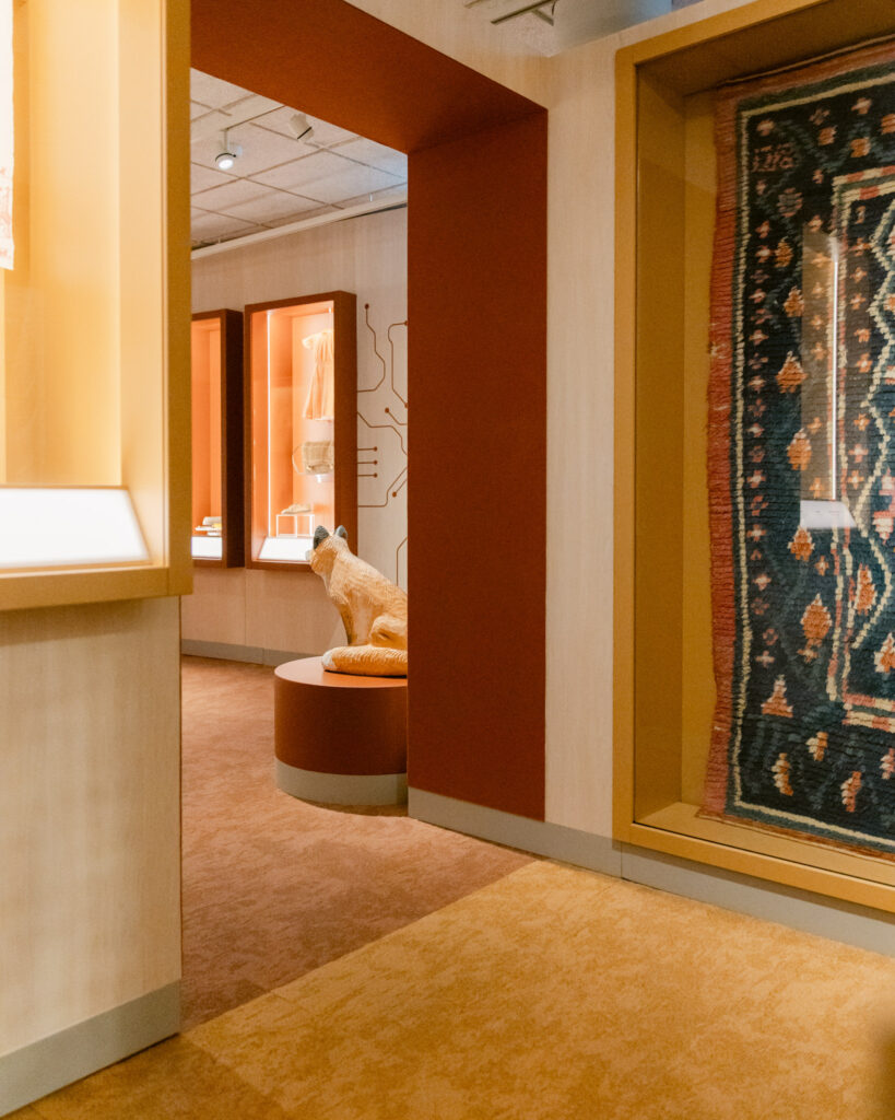 Näyttelyarkkitehtuuri museossa, jossa vitriinirakenteet tukevat esineiden selkeää ja rauhallista esillepanoa.